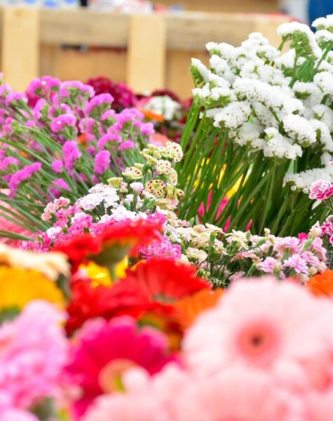 ACCAAVO flowers 02 ACCAAVO flowers 02